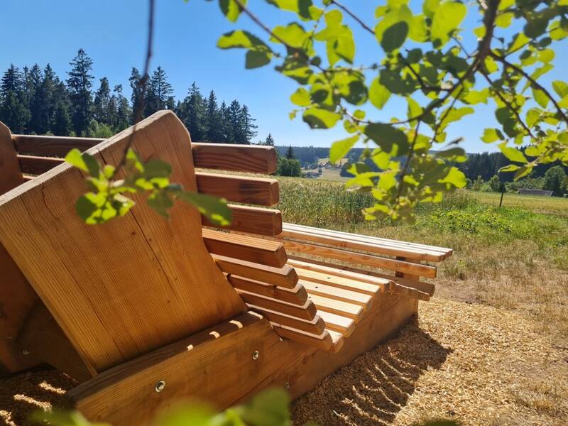 Holzbank in der Natur 