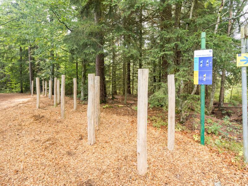 Holzpfähle als Slalom am Wegrand