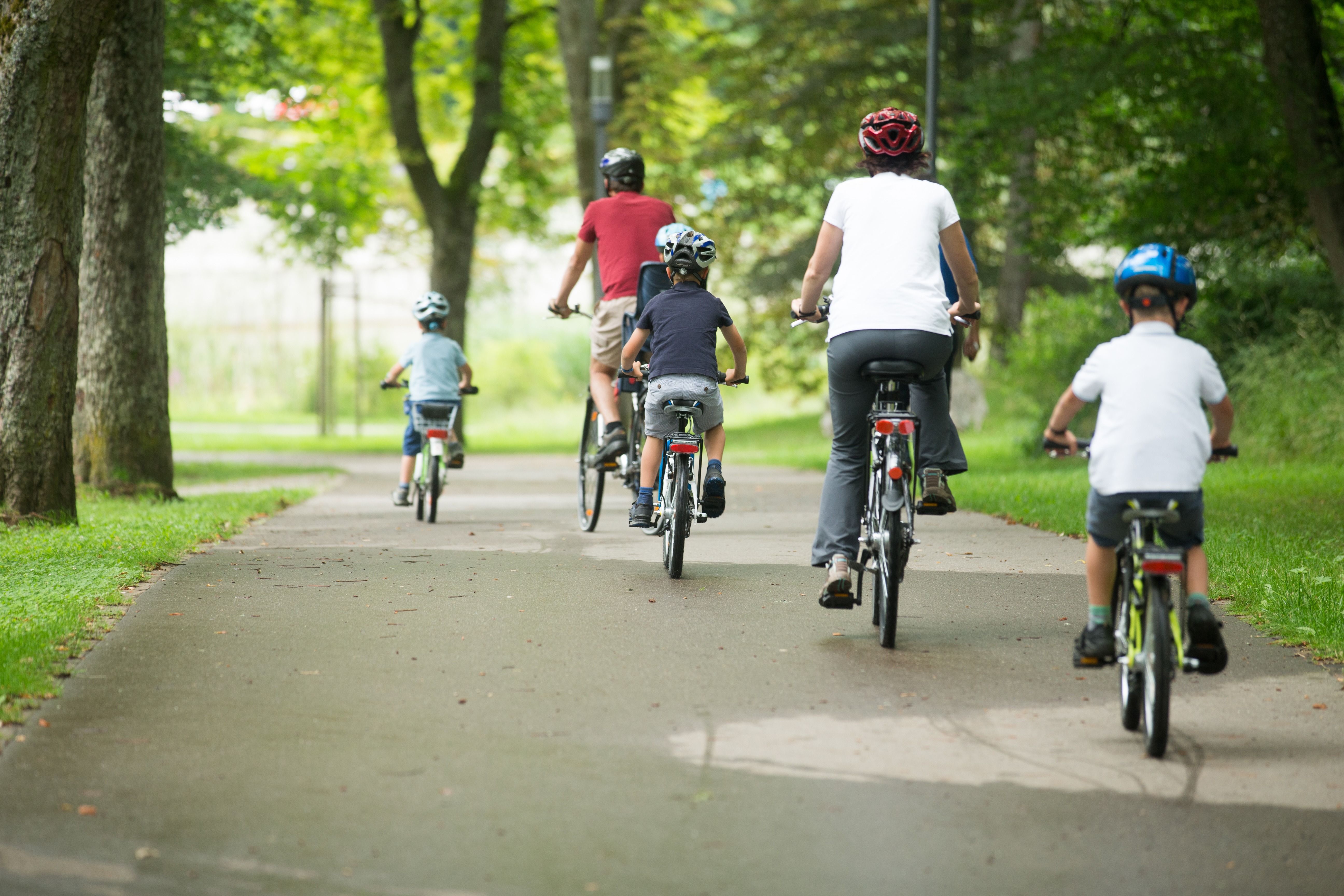 Eine Familie die auf dem Fahrrad einen Weg entlang fährt